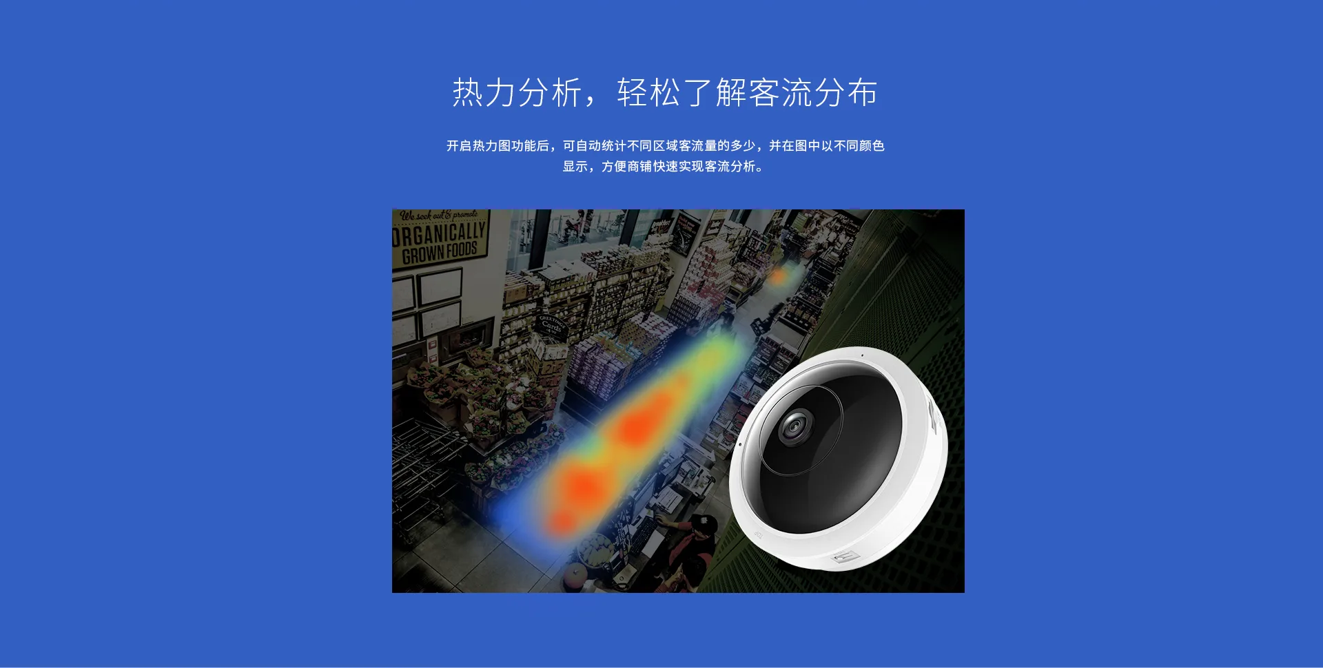 TL-IPC55AE 全景守護者9