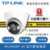 TP-Link-TL-IPC445EP-AI-Product-Icon